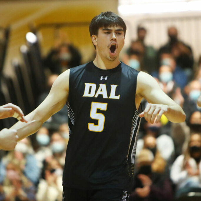 Latest wave2_Dalhousie Tigers