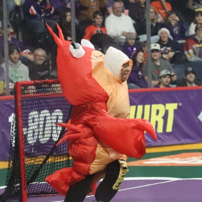 A lobster and a cow race around the Scotiabank Centre for the Halifax Thunderbirds’ “East Coast Kitchen Party.” 