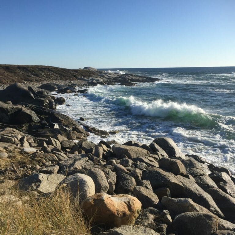 A view from the Dr. Bill Freedman Nature Reserve, overlooking the ocean.