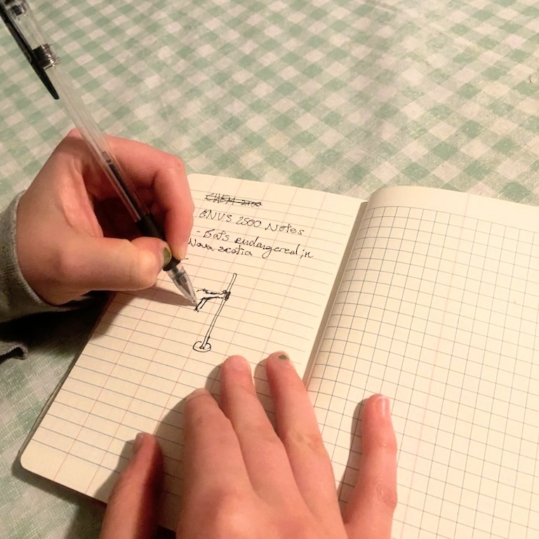 A student takes notes during class in Halifax, Nova Scotia, on Friday, Oct. 10, 2025. (Rachel Bass/The Dalhousie Gazette)
