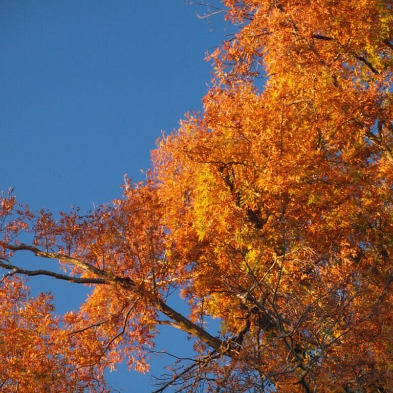 Stock photo: http://www.publicdomainpictures.net/