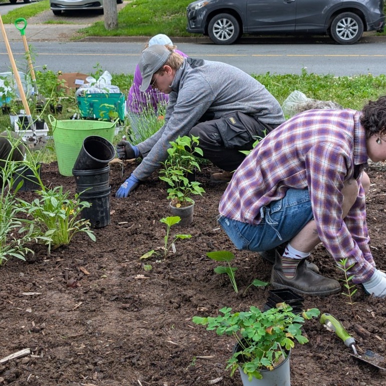 Volunteers helping out at Flinn Park in Halifax, Nova Scotia, on June 26, 2026. (Image courtesy of Amy Mui)