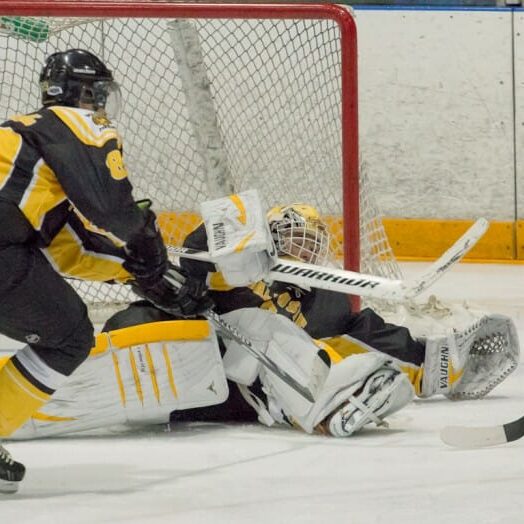 Tigers in action last year (photo by David Munro)