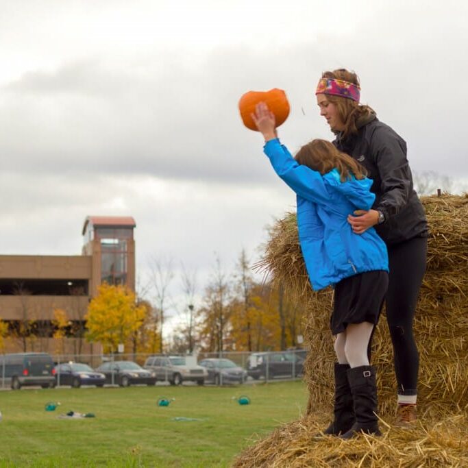 Destruction and renewal as families turn pumpkins to compost.