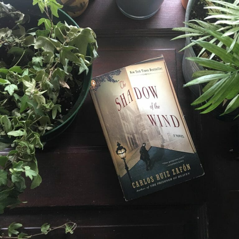 In this image: Book cover of The Shadow of the Wind.