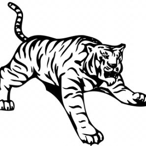 Tiger Toning.