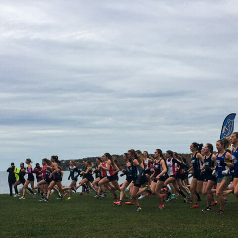 In this image: A large group of women start running in a cross country race.