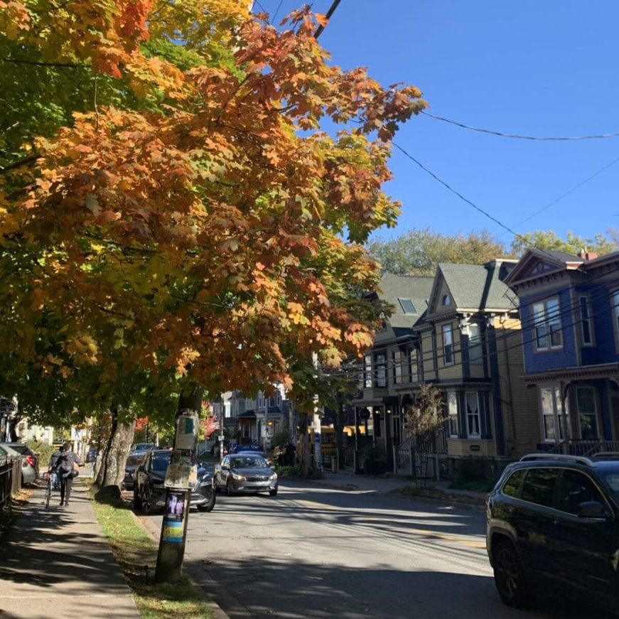 If you’re sticking around in Halifax over reading week, there’s lots of events to check out. (Image credit: Hannah Schneider)