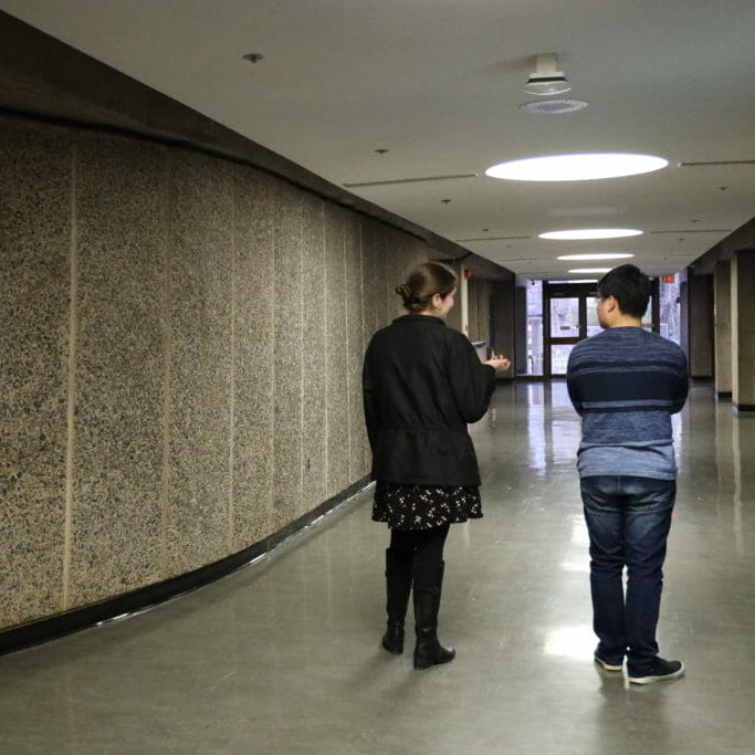 In this image: a student talks to a student advisor.