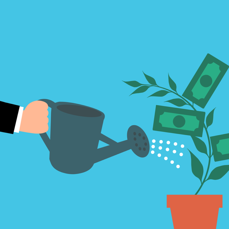 Thinking about investments? Consider putting your funds into a greener, more sustainable future. (Photo by Mohamed Hassan on Pixabay)