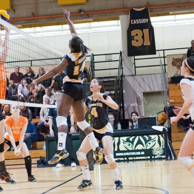 Rookie Rachel Wright helped the Tigers recuperate from a sluggish first set. (Chris Parent photo)