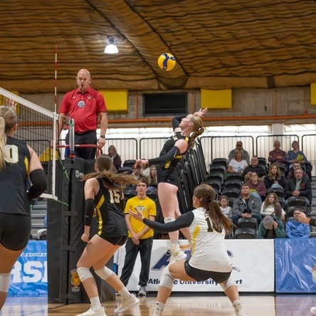 Melissa Hatfield rises up to hit the ball against the Universiteé de Moncton on Nov. 8 at the Dalplex in Halifax, Nova Scotia. (Image courtesy of Shawn Wyzrub/Dalhousie Tigers)