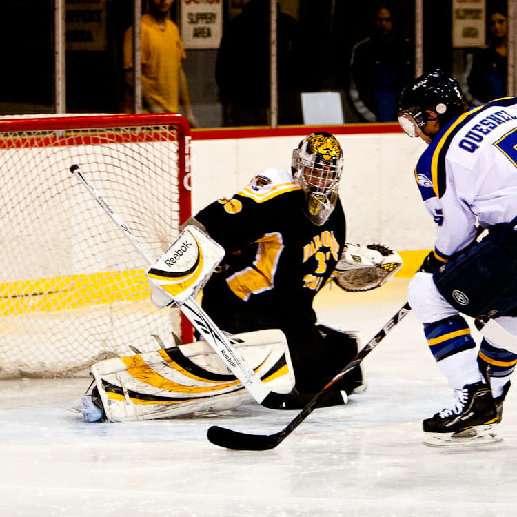 Dalhousie Tigers Hockey