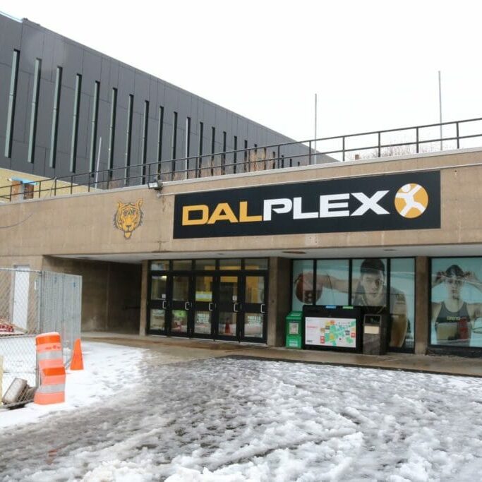 dalplex by chris stoodley-3_preview