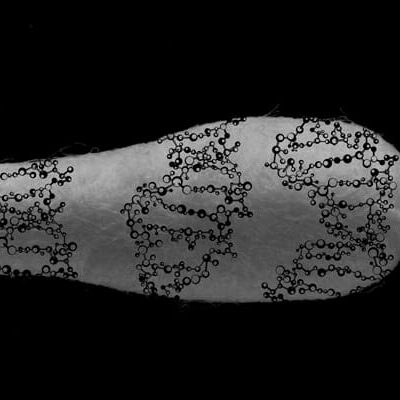 DNA cotton swab DNA cotton swab
