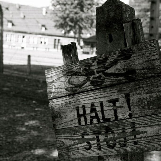 When to stop -- photo by Laura Hubbard