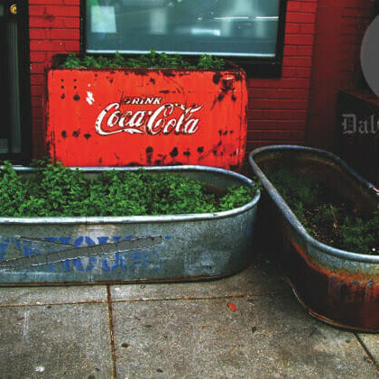 DIY herb garden. Photo by Kate Meresin
