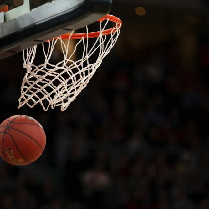 In this image: a basketball and hoop