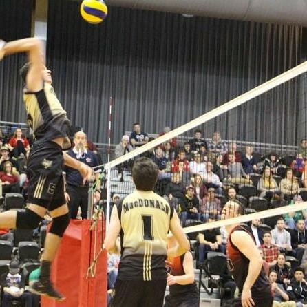 mens vball Photo courtesy of Dal Tigers
