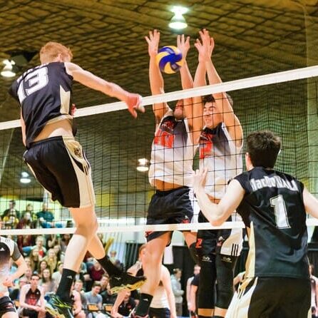 men's vball Photo courtesy of Dal Tigers