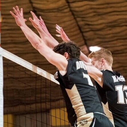Photo courtesy of Dal Tigers