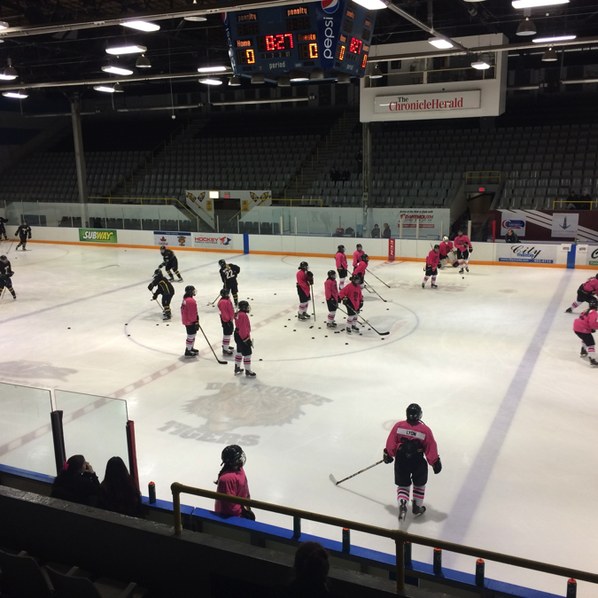 pink in the rink