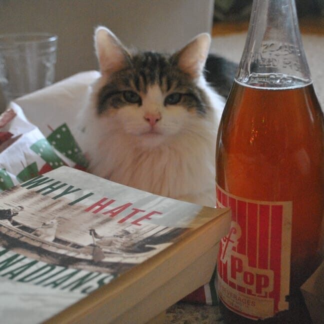 Coquin the cat observes a freshly brewed pint. (Kat Moore photo)