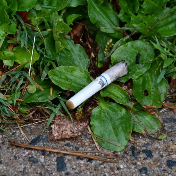 smokingban_katedeltorchio