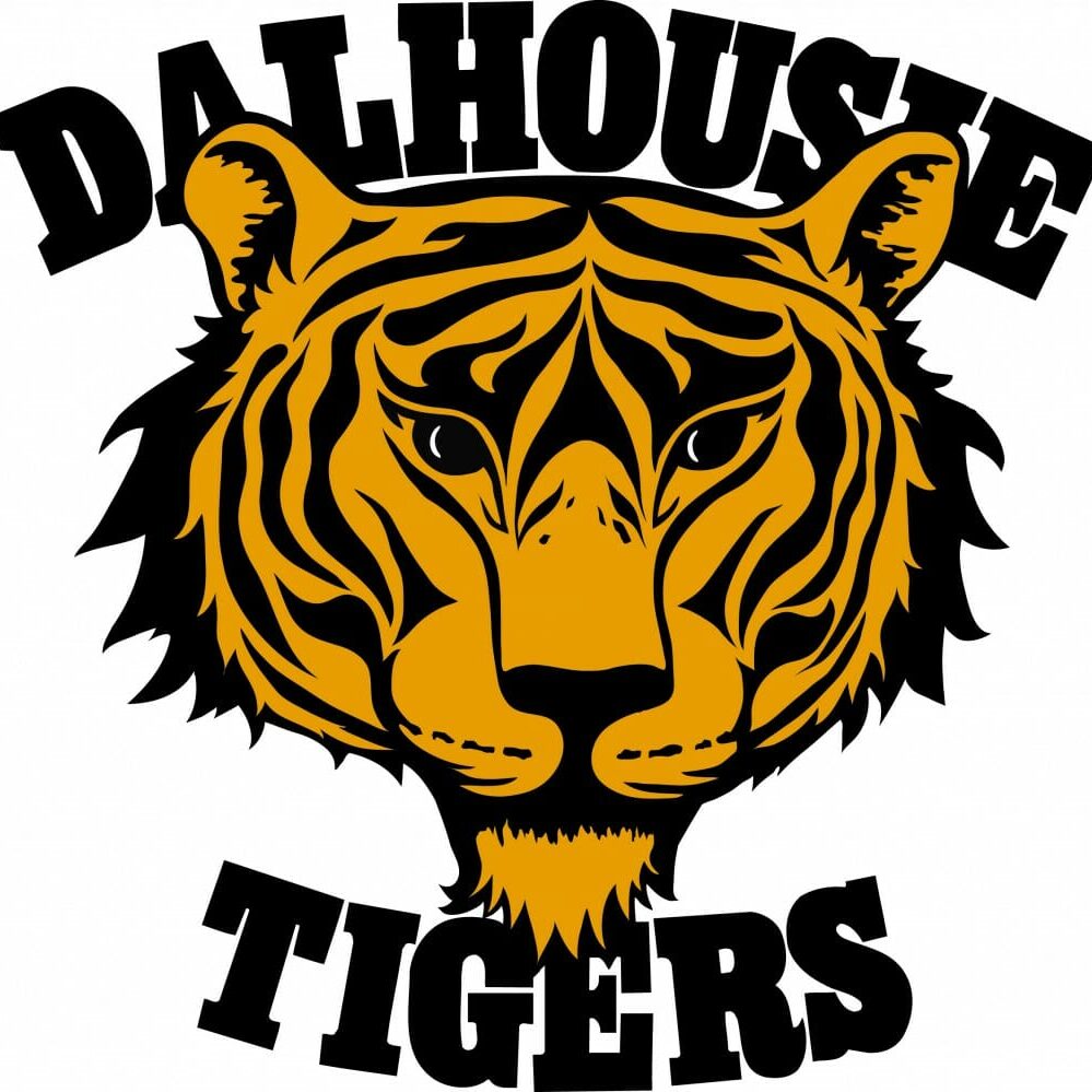 tigers