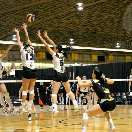 Louise Facca and Maggie Li put up the Tigers' block. Photo by Shauna Brown