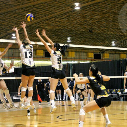 v-ball-Shauna-Brown1