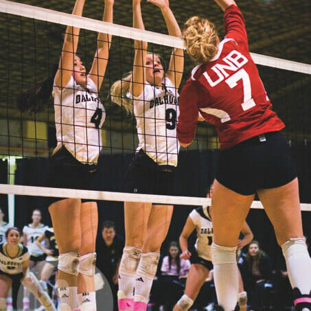 Women's Volleyball. Photo by Rob Grandy