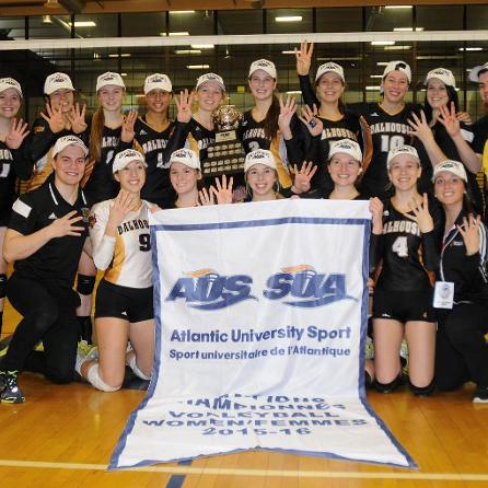 womens vball Photo courtesy of Dal Tigers