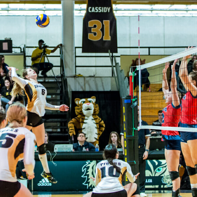 Katherine Ryan (6) leaps into action. (Photo by Chris Parent)